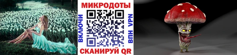 Галлюциногенные грибы Psilocybe  Купино 